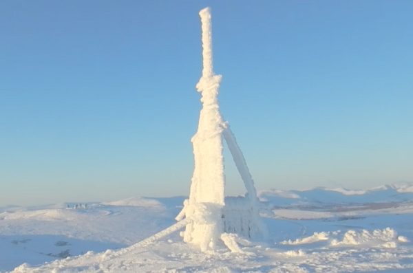 Coated in Ice